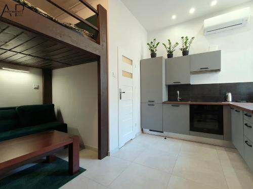 Apartament przy Kościele (Apartament przy Kosciele) in Polczyn- Zdroj