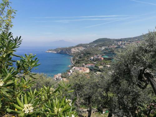 Villa Eleonora