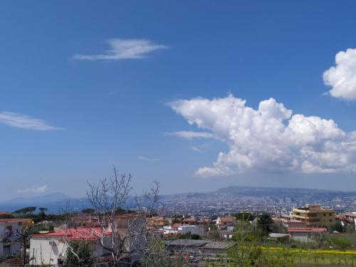  L´orto del Vesuvio di Laura Guidone in San Sebastiano al Vesuvio