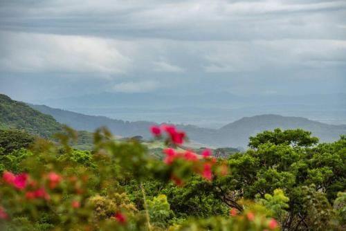 Gateway to Paradise photo 2