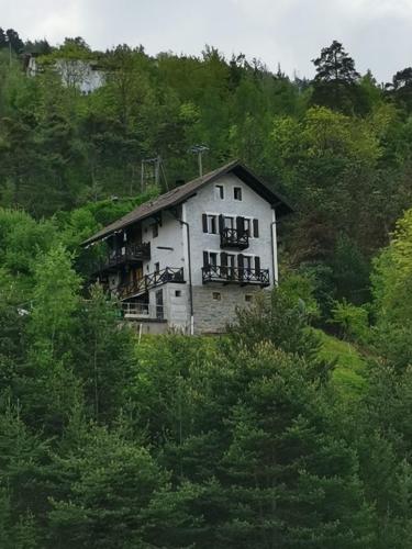  Chalet alpine in Salins