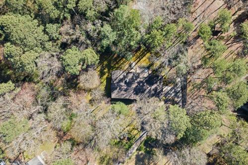 Modern Rancher in the Woods