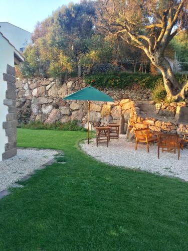  Artemisia Sardegna in Tergu