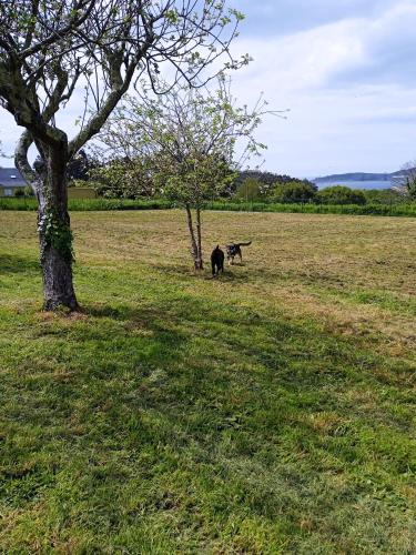  Casa Pozo das Leiras (Derecha) in Ares
