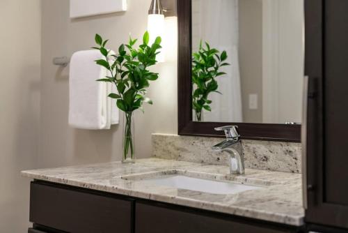 CozySuites TWO Beautiful 2BR 2BA Apartments - image 29