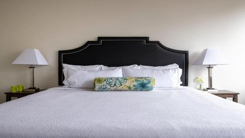 CozySuites Bold 2BR 2BA with SKY POOL - main image