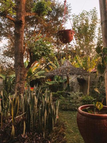 Charming Eco-Homestay near Kilimanjaro International Airport