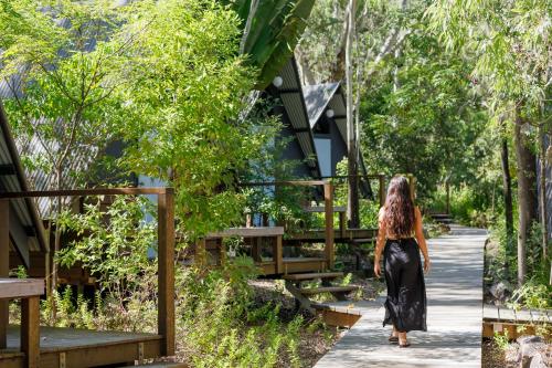 Bungalow Bay Koala Village