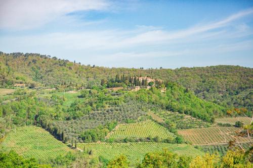 Chiantissima - Apartment - Starda