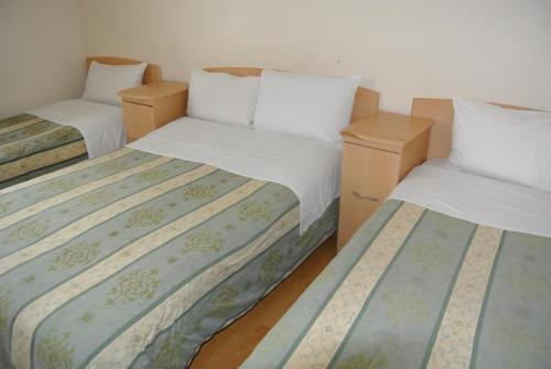 The Belgrove Hotel – London, 
