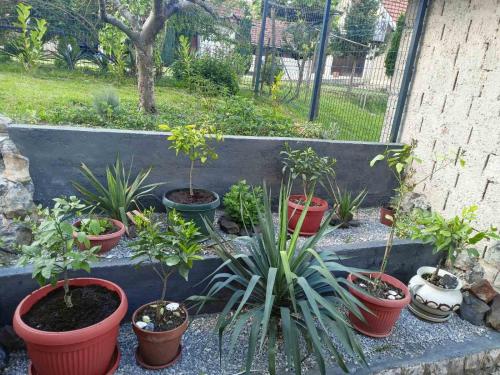 Apartman EXCLUZIV - image 12
