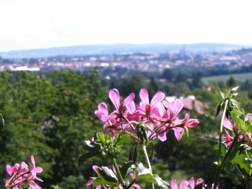 Penzion Kalina - main image