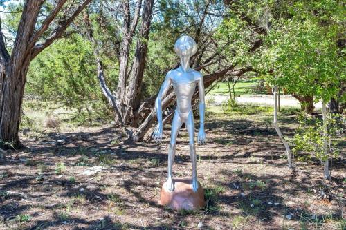 Luxury Yurt, Alpacas and llamas near Downtown Wimberley and Wineries