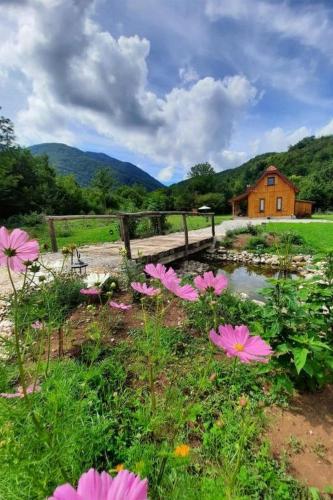 Family friendly house with a swimming pool Gospic, Velebit - 21171