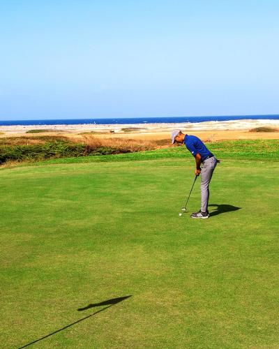 Spectacular apartment in tierra del sol golf course - image 2