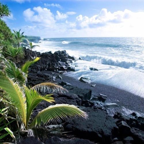 Oceanfront Condo & Walking Distance to Beach and Town- Hale Kona Kai 207 by Casago Kona - image 10