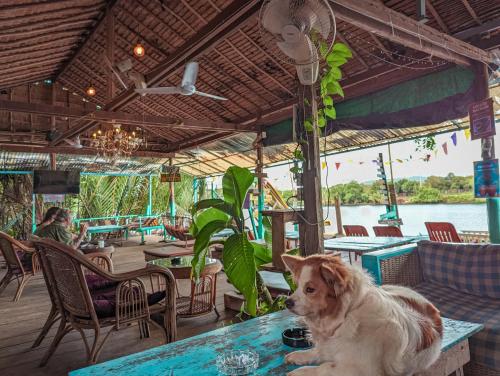 Restaurant, Yellow Sun Kampot near Teuk Chhou Rapids