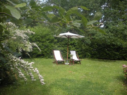 B&B Le Bois Dormant - image 13