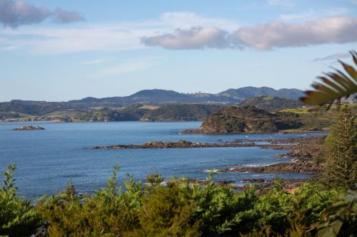 Cable Bay Surf Studio