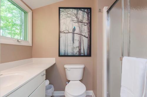 Secluded Oasis w Hot Tub Screened-in Porch WiFi! - image 10