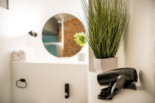 Apartment image 10