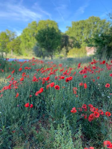 dépendance de bastide climatisée dans parc exceptionnel, au calme