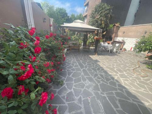 Apartment Natali - Tbilisi City