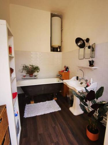 Marseille appartement spacieux et lumineux, Marseille (fotografie 7)