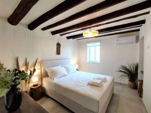 Spiti Sea View Neoclassical House in Stenies, Андрос (фото 10)