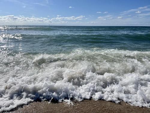 Seascape 2 - image 14