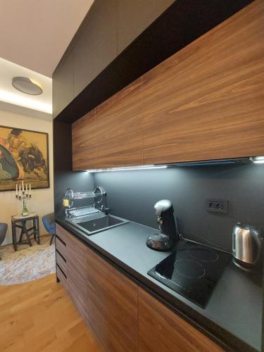 TORRO LUX Apartment in Palic