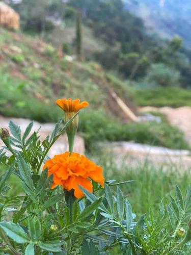 Finca en el Corazón de la Naturaleza