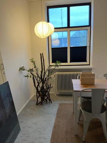 Room 6 - Hawkraft Kulturhotel, Vestervig (photo 5)
