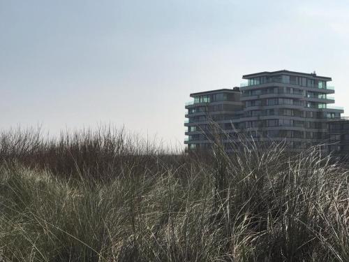 The One - New luxury beachfront apartment