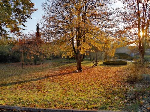 La Roseraie. Gaume-Ardenne-lacuisine sur Semois.