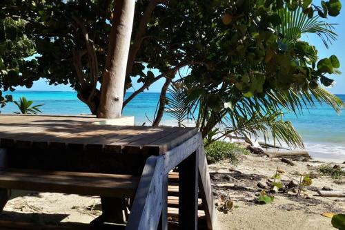 沙滩, Casa Paraíso - Little Corn Island (Casa Paraiso - Little Corn Island) in 小马伊斯群岛