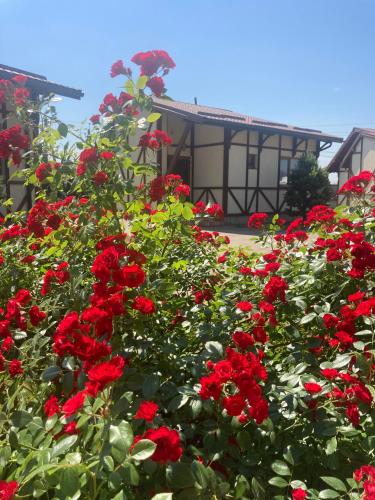 Kopa Hotel - image 10
