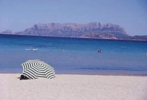 Hotel Terranova – Olbia, NJ