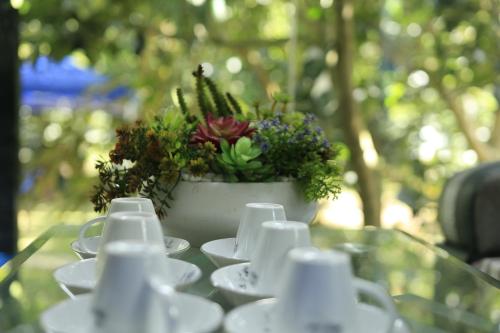 Homestay Vườn Trái Cây Nhiệt Đới Vô Ưu Garden in Phrong 1