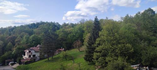 Ivka, Gabrovo (fotografie 4)