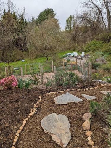 Victory Garden Cottage 12 min to downtown with fire pit and in Asheville, USA