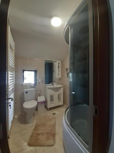Casa Bozai, Breb (foto 3)