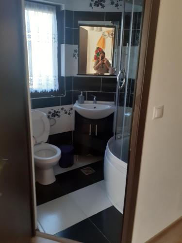 Casa Bozai, Breb (foto 8)