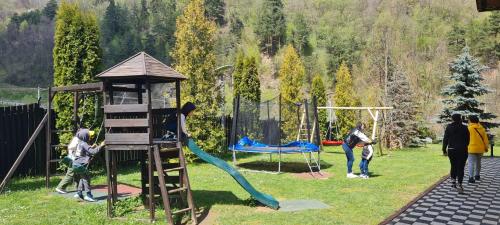 Pensiunea Rau Sadului - image 6