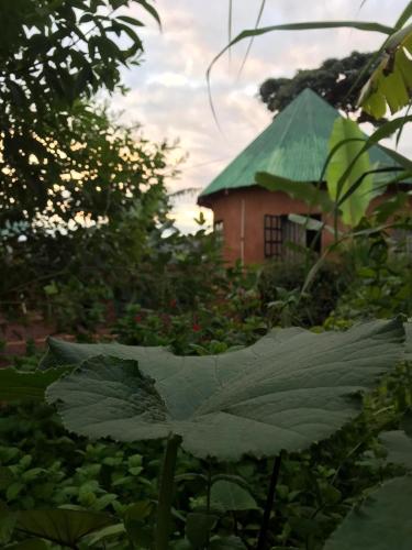 The jungleman house in Karatu