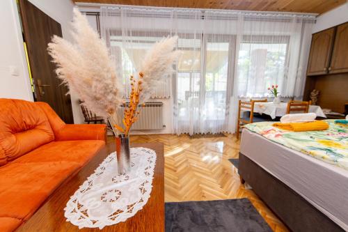 Studio apartman Ivana - Apartment - Gradište