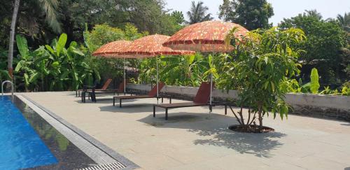 Casa de Kihim - image 5