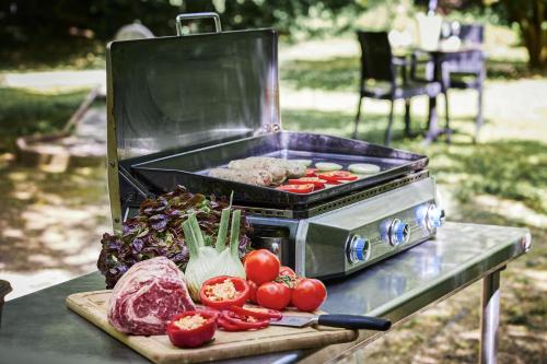 Logis Bagatelle - 51530 Dizy - image 4