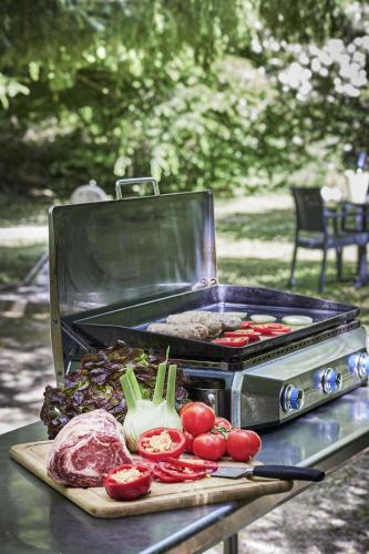 Logis Bagatelle - 51530 Dizy - image 14