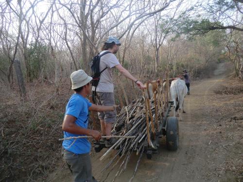 Finca Joco Mico